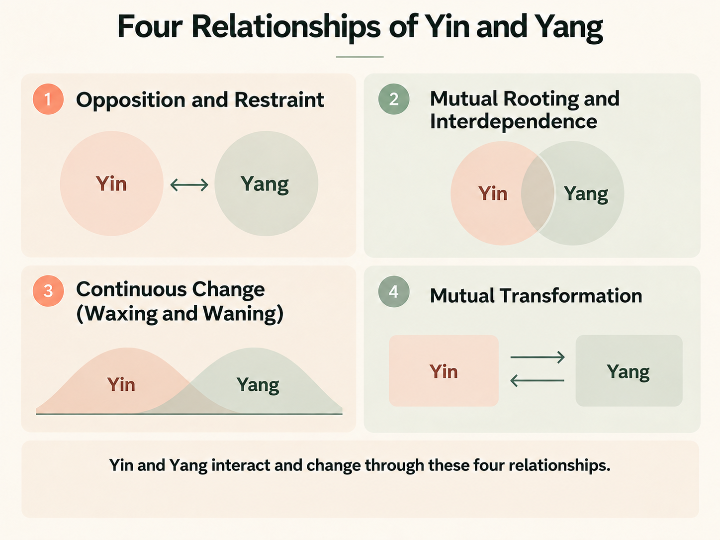 Four relationships of Yin and Yang: opposition and restraint, mutual rooting and interdependence, continuous change through waxing and waning, and mutual transformation.