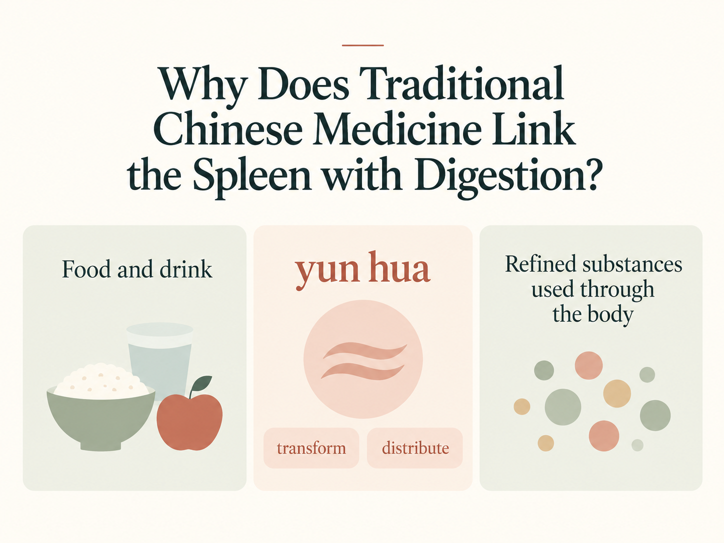 Food and drink, yun hua as transformation and distribution, and refined substances used through the body.